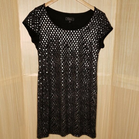 Dress Barn Collection Stretchy Zebra Print Dress - Picture 1 of 7